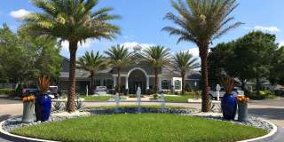 Banyan Bay Gallery 50