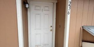 Available Now! Gallery 1