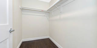 77 Winchester St Gallery 9