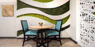 Aspire 11 Gallery 13