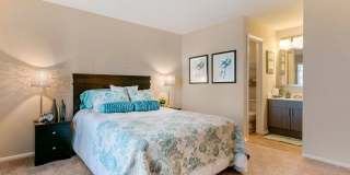 The Commons at University Square Apartments The Commons at University Square Apartments Gallery 8