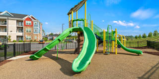 Hawthorne at Weaverville Gallery 24