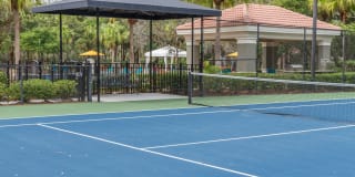 Preserve at Tampa Palms Gallery 31