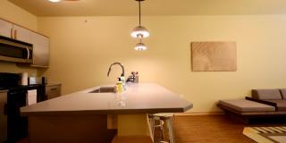 Settlement Place Gallery 277