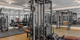 The Hallon Gallery 5