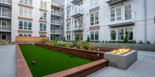 Alexan Main Street Gallery 61