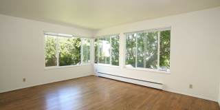 Angeline Gallery 31