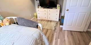 1302 Hunter - 7 Bed/2 Bath - Renovated! Gallery 16