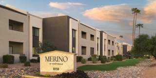 Merino Gallery 33
