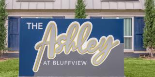 The Ashley Gallery 1
