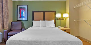 Stockton - March Lane Gallery 11