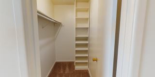 Golden Crest Gallery 6