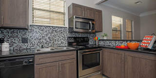 The Fountains at Champion Gallery 8