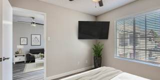 Rise on Cactus Gallery 6