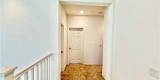 16458 Globetrotter Gallery 16