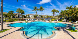 Lexington Palms at the Forum Gallery 24