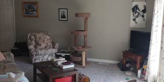 3bed/1bath in Kenwood neighborhood Gallery 12