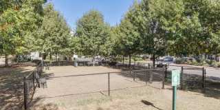 Canalside Lofts Gallery 21