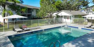 Palm Bay Club Gallery 11