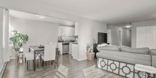 Fully Renovated Modern Apartments Gallery 21