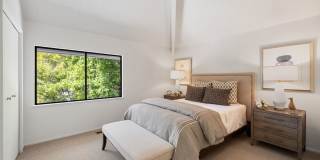 4BR/2.5BA Stunning Spacious Tiburon Home! Pool! Pet Friendly!  PROGRESSIVE Gallery 30