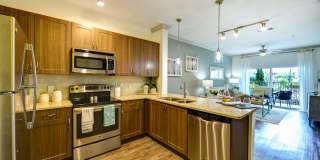 The Views at Harbortown Gallery 25