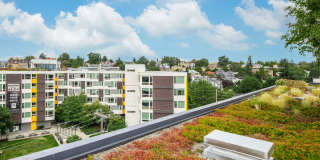 Avant Apartments - Student Housing Gallery 37