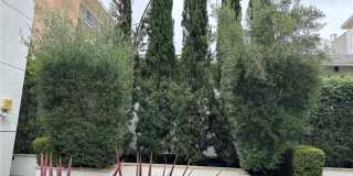 238 S Arroyo Parkway Gallery 24