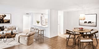 Coconut Palm Club Gallery 36