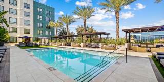 Windsor Winchester Windsor Winchester Gallery 24