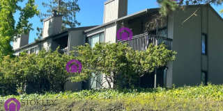 1542 Ashwood Drive Gallery 1