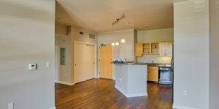 Cortland Belmar Gallery 30