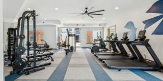 Bluebird on Seventy Gallery 22