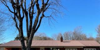 Available! Beautiful 3 Bed, 1 Bath Home in quiet neighborhood Gallery 1