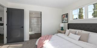 River Birch Apartments Gallery 16