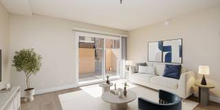 257 Vernon Apartments Gallery 1