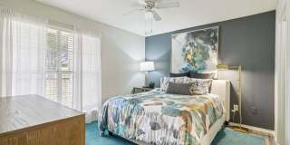 Oak Forest Gallery 31