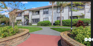 Millenium Cove Gallery 2