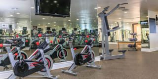 The Piero Gallery 22