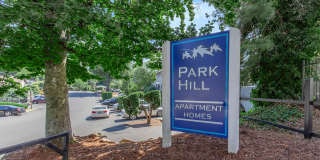 Park Hill Gallery 23
