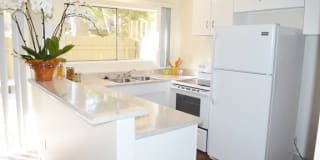 Madison Court Gallery 9