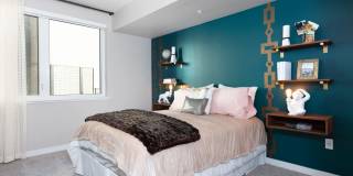 Axis Oakland Gallery 27