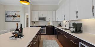 The Residence Buckhead Atlanta Gallery 9
