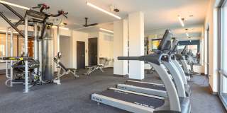 The Patton Gallery 53