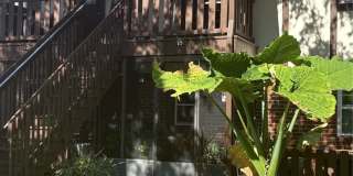 5401 HANSEL AVENUE Gallery 18