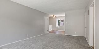 Roxanne Apartments Gallery 6