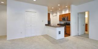 Chelsea Square Gallery 10