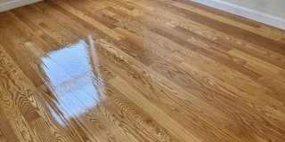 16 Copenger St. Gallery 5