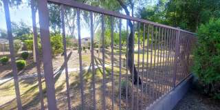 BEAUTIFUL 4-BEDROOM IN POWER RANCH! Gallery 18