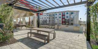 Ilumina Zephyrhills Gallery 18